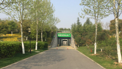 Chao Lake Basin Treatment