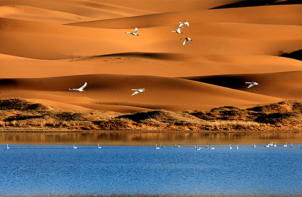 Tengri Industrial Park Wastewater Treatment Project