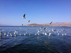 Erhai Lake Basin Treatment
